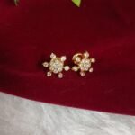 Impon Earrings